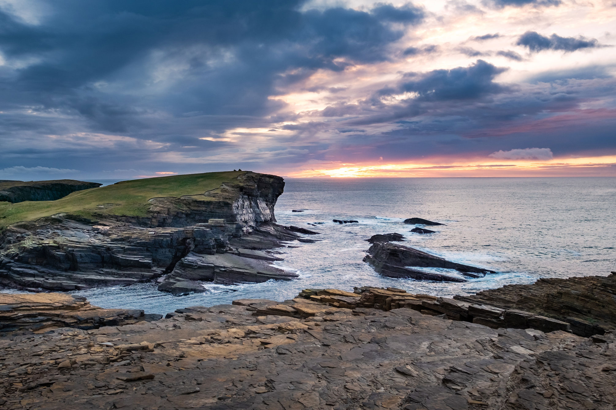 Arttia-Branding-Website-Feature-Image-transects-1