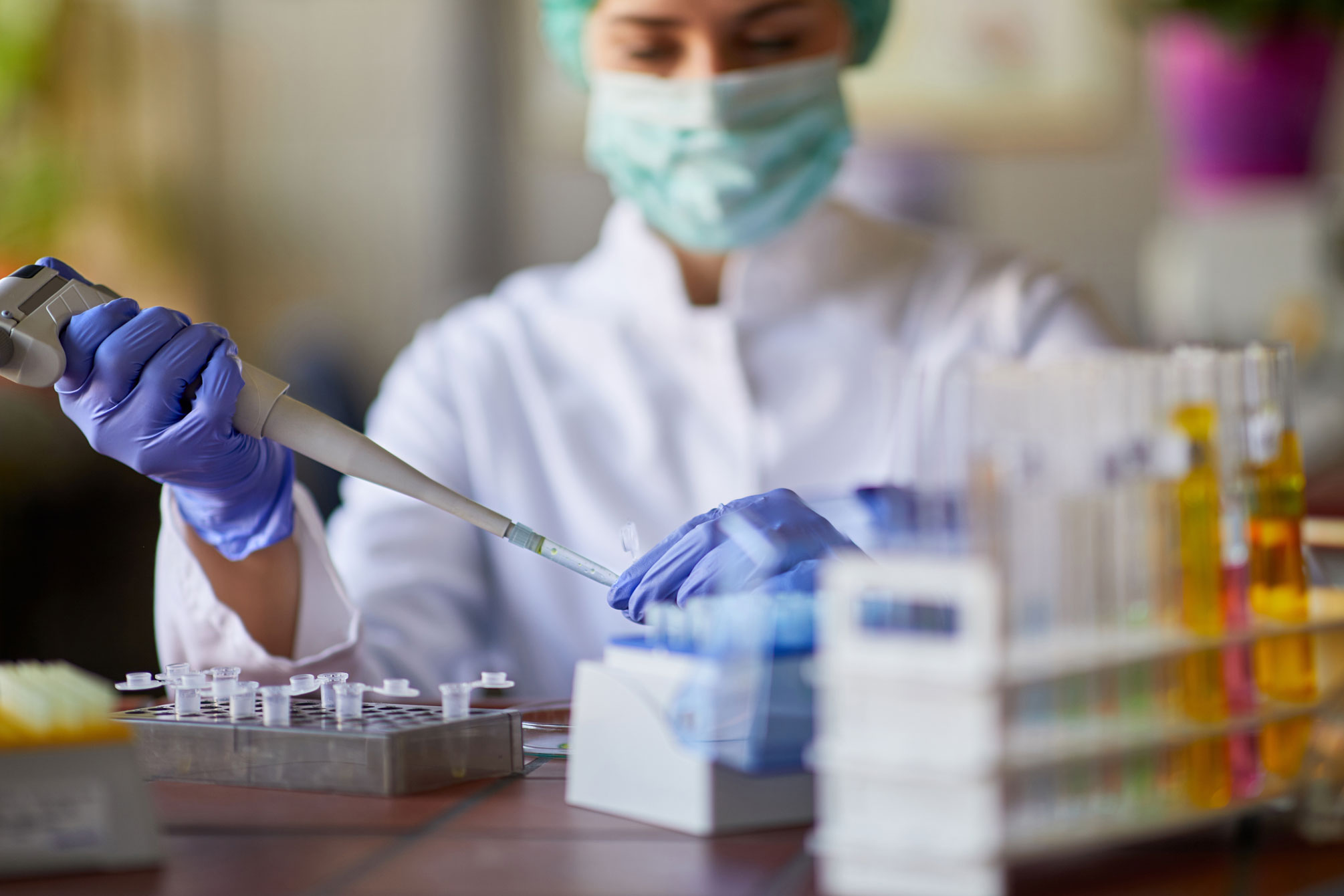 Salvivo-Arttia-Branding-Website-Feature-Image