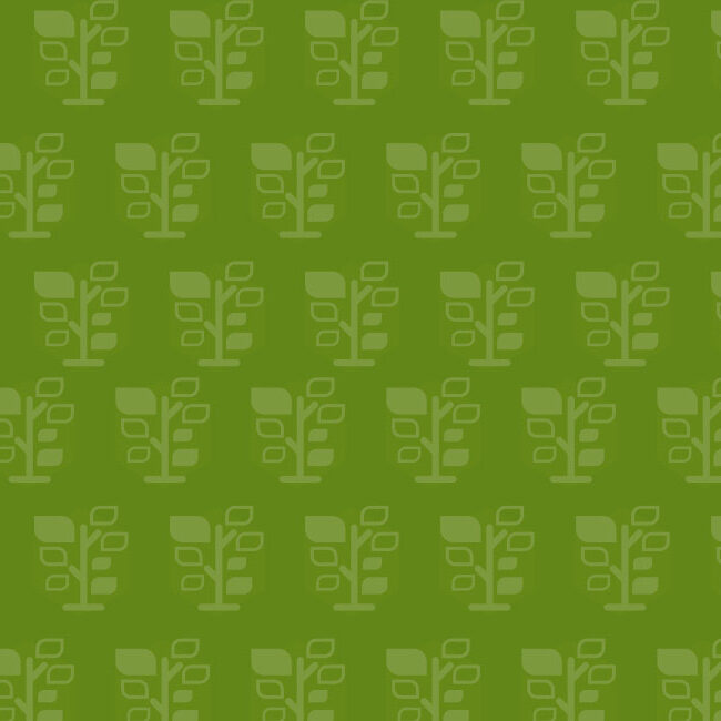 pattern pattern